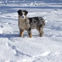 processed/89ebab78-4d68-4d5d-b19c-51b9294be769/facility/622be93b-03ba-481d-8ced-0631dd308058