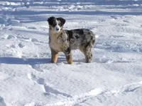 processed/89ebab78-4d68-4d5d-b19c-51b9294be769/facility/622be93b-03ba-481d-8ced-0631dd308058