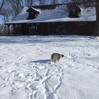 processed/89ebab78-4d68-4d5d-b19c-51b9294be769/facility/c7235490-8165-4406-9c0d-36160d10c7b6