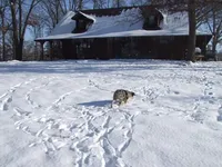 processed/89ebab78-4d68-4d5d-b19c-51b9294be769/facility/c7235490-8165-4406-9c0d-36160d10c7b6