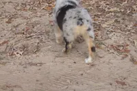 processed/89ebab78-4d68-4d5d-b19c-51b9294be769/listing/63997c32-4744-4cb3-9170-6e7f928b33dd/1ae78293-114d-4c97-af40-99206d46cde0