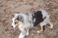 processed/89ebab78-4d68-4d5d-b19c-51b9294be769/listing/63997c32-4744-4cb3-9170-6e7f928b33dd/43ffd739-2161-407e-b559-f6e0c9742d7c