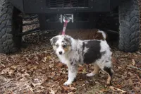 processed/89ebab78-4d68-4d5d-b19c-51b9294be769/listing/63997c32-4744-4cb3-9170-6e7f928b33dd/74df29a6-e54b-4a6b-b622-46fc0fe0b1de