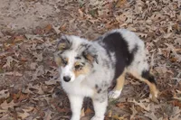 processed/89ebab78-4d68-4d5d-b19c-51b9294be769/listing/63997c32-4744-4cb3-9170-6e7f928b33dd/c414122b-e496-41f4-ac26-25acc28fd1a7