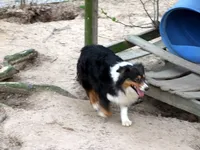 processed/89ebab78-4d68-4d5d-b19c-51b9294be769/listing/63997c32-4744-4cb3-9170-6e7f928b33dd/f446dcf6-c5ed-4227-8113-3cbcaba6c313