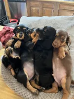 processed/89f78df1-a37d-413b-8de6-b9c4359b4702/listing/3cf86678-4510-4c4b-a4b9-2f5c910dc2fd/221629b4-1a93-4ed3-83ec-6d20bb8d1aee