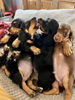 processed/89f78df1-a37d-413b-8de6-b9c4359b4702/listing/3cf86678-4510-4c4b-a4b9-2f5c910dc2fd/d12de756-739f-433e-8be0-feb709915283