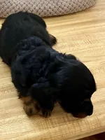 processed/89f78df1-a37d-413b-8de6-b9c4359b4702/listing/3cf86678-4510-4c4b-a4b9-2f5c910dc2fd/e080ad58-b1ad-45c9-887d-37783925b686