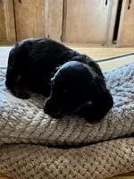 processed/89f78df1-a37d-413b-8de6-b9c4359b4702/listing/3cf86678-4510-4c4b-a4b9-2f5c910dc2fd/efdf921a-d208-439f-949f-d790dc30da80