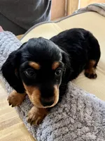 processed/89f78df1-a37d-413b-8de6-b9c4359b4702/listing/91768a3f-e4d6-4bda-95c5-2bd2022e8b1e/3b14afbc-a3e8-4daf-946e-d9c5c039bf0b