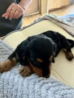 processed/89f78df1-a37d-413b-8de6-b9c4359b4702/listing/91768a3f-e4d6-4bda-95c5-2bd2022e8b1e/f4540798-7b1c-48b0-a7d5-05b7a91f7daa