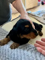 processed/89f78df1-a37d-413b-8de6-b9c4359b4702/listing/91768a3f-e4d6-4bda-95c5-2bd2022e8b1e/f5c3c09f-44da-45fb-8ad8-9150e95ca06c