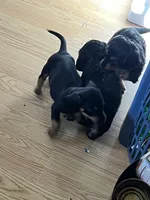 processed/89f78df1-a37d-413b-8de6-b9c4359b4702/listing/a29a4e41-a98b-4a1d-9993-d944eda7bb01/6ea8452e-57fd-4954-8987-33e798e81144