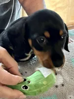 processed/89f78df1-a37d-413b-8de6-b9c4359b4702/listing/a29a4e41-a98b-4a1d-9993-d944eda7bb01/b00ff8f1-fcc0-41de-a47a-b9cd53b18ebc