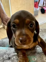 processed/89f78df1-a37d-413b-8de6-b9c4359b4702/listing/dc07b1b7-0bfc-48bb-85d9-067f7c483b7c/1948e8ae-c280-4341-87ba-e99616e10558