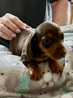 processed/89f78df1-a37d-413b-8de6-b9c4359b4702/listing/dc07b1b7-0bfc-48bb-85d9-067f7c483b7c/9f48ef76-627d-4457-aaa9-bbf76c1f41d3