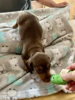 processed/89f78df1-a37d-413b-8de6-b9c4359b4702/listing/dc07b1b7-0bfc-48bb-85d9-067f7c483b7c/c2831725-cd61-4d26-a97b-7fd983c4215b