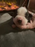 processed/8a129ffa-6711-40b7-8437-b80551d0d0d9/listing/130ce8cd-4828-482f-a056-dc18dd84a908/2994bff7-709f-468f-b7cf-2fa6cd1aefb7