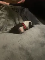 processed/8a129ffa-6711-40b7-8437-b80551d0d0d9/listing/8b0f7afa-eeac-4a3c-b4d5-400676634a87/3b707794-6884-4eb2-a52b-160052fe50a8