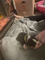 processed/8a129ffa-6711-40b7-8437-b80551d0d0d9/listing/c5a076ee-bda4-49c7-b405-35d0cdbd5f6b/56a49b56-7dc4-4c09-b45e-dc9f981361b3