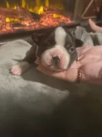 processed/8a129ffa-6711-40b7-8437-b80551d0d0d9/listing/c5a076ee-bda4-49c7-b405-35d0cdbd5f6b/ebf4ef79-604d-4f3a-b728-1c8b675d968d