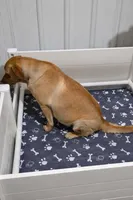 Black female, a female Labrador Retriever for sale in Petersburg, IL – Photo 3 of 3