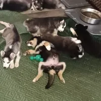 processed/8a1b30fe-1cac-4b84-8f91-df65dae1bddb/facility/35343438-039f-4e4f-9bbc-0324f8e65e71