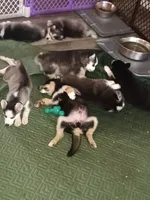 processed/8a1b30fe-1cac-4b84-8f91-df65dae1bddb/facility/35343438-039f-4e4f-9bbc-0324f8e65e71