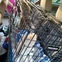 processed/8a1b30fe-1cac-4b84-8f91-df65dae1bddb/facility/9f4671ec-508b-453d-b299-5e384a25e32e