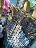 processed/8a1b30fe-1cac-4b84-8f91-df65dae1bddb/facility/9f4671ec-508b-453d-b299-5e384a25e32e