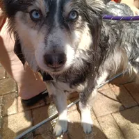 processed/8a1b30fe-1cac-4b84-8f91-df65dae1bddb/facility/a0534098-7527-4506-a0b7-92944b97a75b