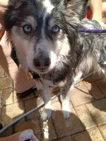 processed/8a1b30fe-1cac-4b84-8f91-df65dae1bddb/facility/a0534098-7527-4506-a0b7-92944b97a75b