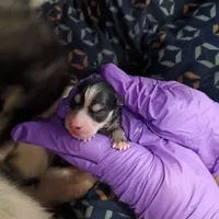 processed/8a1b30fe-1cac-4b84-8f91-df65dae1bddb/facility/a955d4ab-c6ba-46fc-9b5f-015920ae0b77