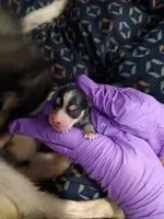 processed/8a1b30fe-1cac-4b84-8f91-df65dae1bddb/facility/a955d4ab-c6ba-46fc-9b5f-015920ae0b77