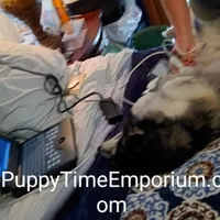 processed/8a1b30fe-1cac-4b84-8f91-df65dae1bddb/facility/b0d5385e-4d6f-4390-ab4e-a83d2dd12e3a