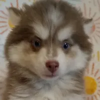 processed/8a1b30fe-1cac-4b84-8f91-df65dae1bddb/facility/ca5a5daf-0f18-4f2e-a8b6-c0b7eed4ecbf