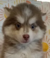 processed/8a1b30fe-1cac-4b84-8f91-df65dae1bddb/facility/ca5a5daf-0f18-4f2e-a8b6-c0b7eed4ecbf