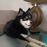 processed/8a1b30fe-1cac-4b84-8f91-df65dae1bddb/facility/ce790901-0d8d-4848-849c-fb49c41ad873