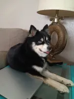 processed/8a1b30fe-1cac-4b84-8f91-df65dae1bddb/facility/ce790901-0d8d-4848-849c-fb49c41ad873