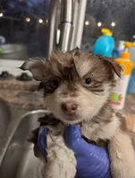 processed/8a1b30fe-1cac-4b84-8f91-df65dae1bddb/listing/6f8ec3d0-afc2-4659-82fc-96ce1a4ce925/0ad20827-286f-4f7b-9c92-a09beb8d40b0