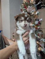 processed/8a1b30fe-1cac-4b84-8f91-df65dae1bddb/listing/6f8ec3d0-afc2-4659-82fc-96ce1a4ce925/5ed621cf-6521-4d71-a215-70c29214278e