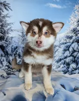 processed/8a1b30fe-1cac-4b84-8f91-df65dae1bddb/listing/6f8ec3d0-afc2-4659-82fc-96ce1a4ce925/d19ca29d-4514-4d74-bdcb-7625654136a9