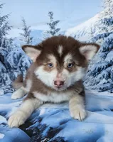 processed/8a1b30fe-1cac-4b84-8f91-df65dae1bddb/listing/6f8ec3d0-afc2-4659-82fc-96ce1a4ce925/f44a8ad5-e0f9-4689-a0b7-47fceab8ceab