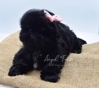 processed/8a1eb756-964d-43d8-a4d3-7e8432574494/facility/afb41761-231c-4fd5-aac9-d5108e50afe4