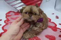 processed/8a1eb756-964d-43d8-a4d3-7e8432574494/facility/c1a28451-67a5-4a70-9788-017905b58690