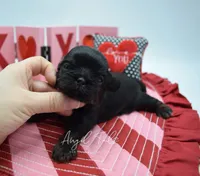 processed/8a1eb756-964d-43d8-a4d3-7e8432574494/listing/91be9464-e290-479b-b8b4-c4ad6467f74f/cf35d9da-b5b4-46d8-bbd3-d811b726f316