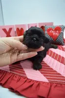 processed/8a1eb756-964d-43d8-a4d3-7e8432574494/listing/91be9464-e290-479b-b8b4-c4ad6467f74f/e2b67d73-7167-4f97-94f9-01ec796c00cb