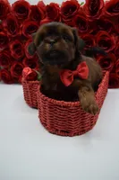 processed/8a1eb756-964d-43d8-a4d3-7e8432574494/listing/96e2d5ff-bbf4-49f8-a3bc-8e2f8e94e28f/2258e73a-0f8f-4473-b793-4b9d15bc2c82