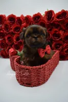 processed/8a1eb756-964d-43d8-a4d3-7e8432574494/listing/96e2d5ff-bbf4-49f8-a3bc-8e2f8e94e28f/c52b90f1-11e9-415e-b4cb-8307f0af382e