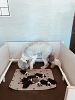 processed/8a207670-8367-4970-b450-ecc7636e5874/facility/50bccb03-5988-45fe-b3b0-41568b4f5d4a